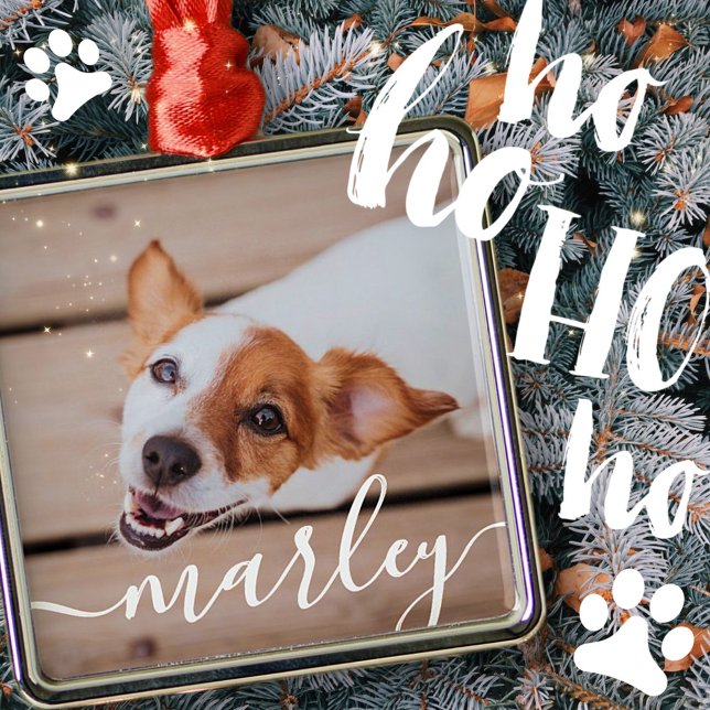 Modern Chic Pet-foto med enkel Elegant Julgransprydnad Metall (Skapare uppladdad)