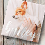 Modern Chic Pet-foto med enkel Elegant Magnet<br><div class="desc">Den här enkla och klassiska designen består av serif-typografi och lägger till en anpassningsbar foto av ditt sällskapsdjur.</div>