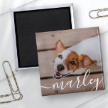 Modern Chic Pet-foto med enkel Elegant Magnet<br><div class="desc">Den här enkla och klassiska designen består av serif-typografi och lägger till en anpassningsbar foto av ditt sällskapsdjur.</div>