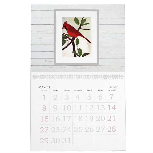 Modern Chic Snyggt Vattenfärgsfåglar Kalender (Mar 2026)