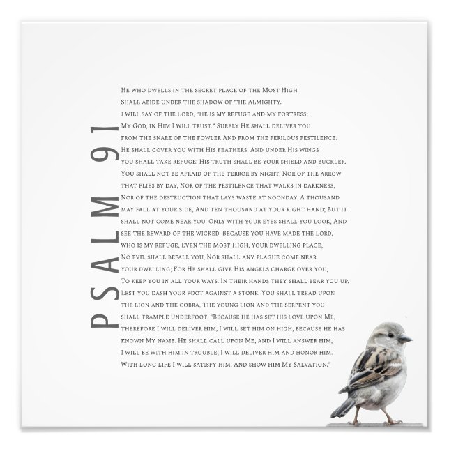 Modern Christian Psalm 91 Cute Little Bird Fototryck (Framsidan)