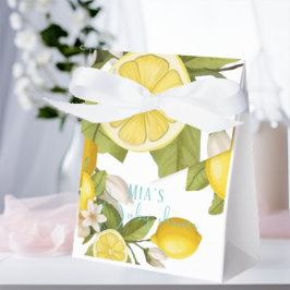 Modern citon Baby dusch Presentaskar