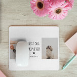 Modern Collage Photo Best Mamma Hund någonsin Musmatta<br><div class="desc">Ett modernt kollage-foto av "Best Mamma Hund någonsin" är en fantastisk hyllning till ett älskat sällskapsdjur som har gett sin familj oändligt kärlek och glädje. Detta kollage-foto kan skapas med hjälp av olika bilder av hund under hela hennes liv, där hon visar sina fantastiska ögonblick, sin tillgivenhet och sitt lojala...</div>