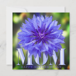 Modern Cornflower Elegant Blue Mother’s Day Card  Tack Kort
