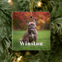 Modern Custom Pet Name Photo Holiday