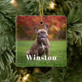 Modern Custom Pet Name Photo Holiday Julgransprydnad Keramik