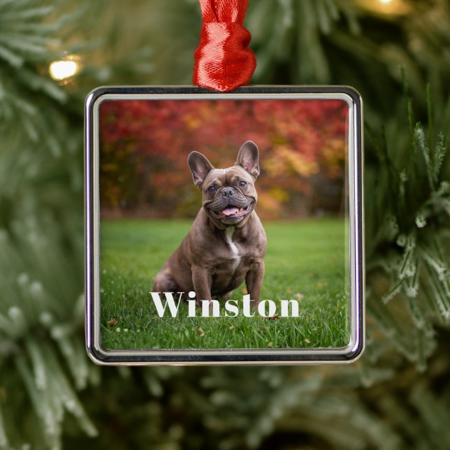 Modern Custom Pet Name Photo Holiday Julgransprydnad Metall (Träd)