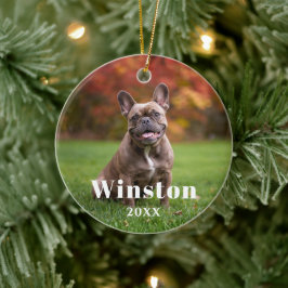 Modern Custom Pet Name Year Photo Holiday Julgransprydnad Keramik
