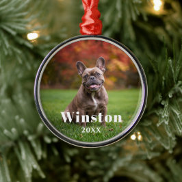 Modern Custom Pet Name Year Photo Holiday Julgransprydnad Metall
