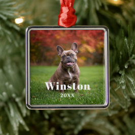 Modern Custom Pet Name Year Photo Holiday Julgransprydnad Metall