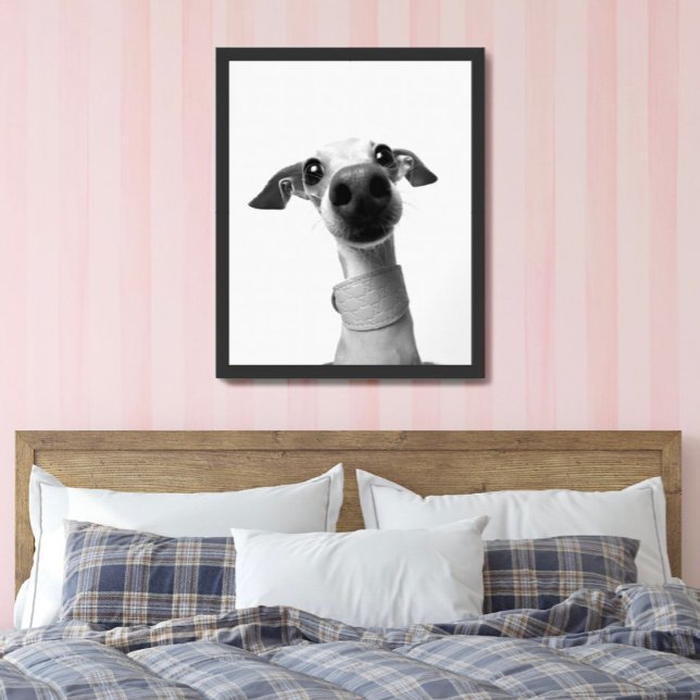 Modern Custom Pet Photo | Meeko Large Poster (Skapare uppladdad)