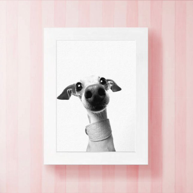 Modern Custom Pet Photo | Meeko Poster (Skapare uppladdad)