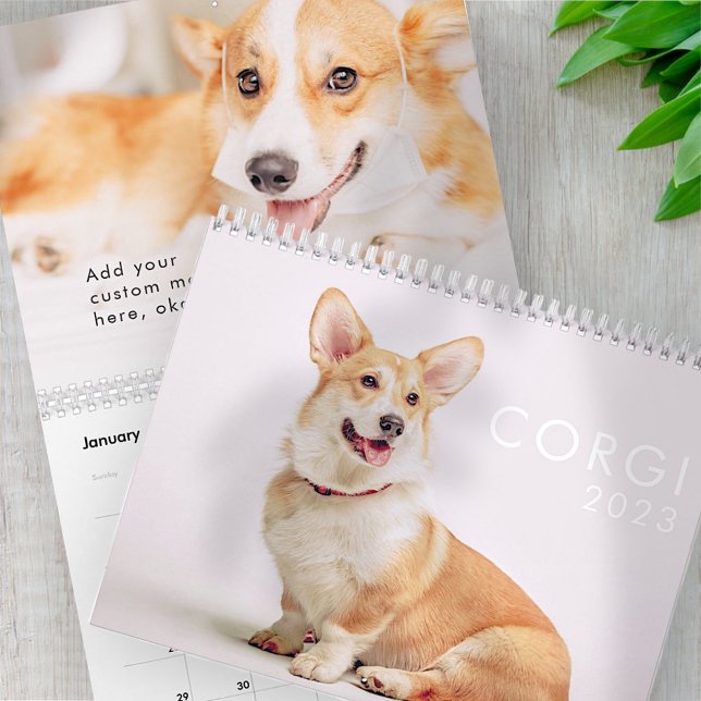 Modern Cute Funny Corgi Hundar Foton Kalender (Skapare uppladdad)