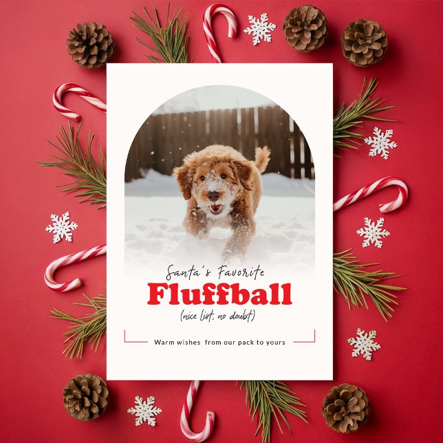 Modern Cute Funny Dog Pet Arch Photo Christmas Julkort (Skapare uppladdad)