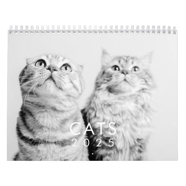Modern Cute Funny Pet Kitten Cat Foton Kalender (Omslag)
