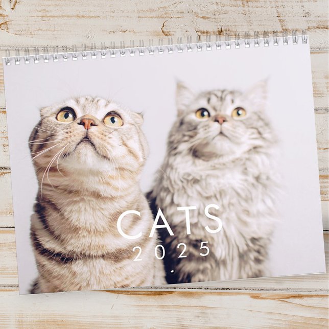 Modern Cute Funny Pet Kitten Cat Foton Kalender (Skapare uppladdad)