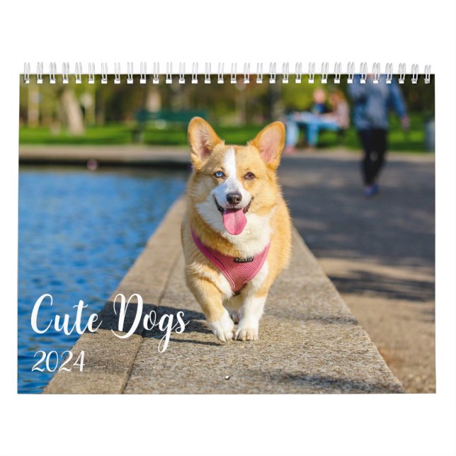 Modern Cute Hund Photos 2024 Kalender (Omslag)