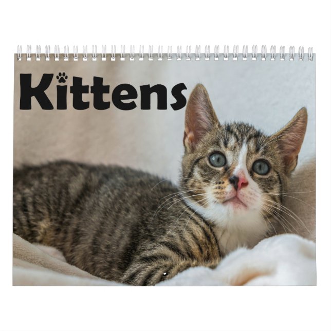 Modern Cute Pet Kitten Cat Photos Yarly Kalender (Omslag)