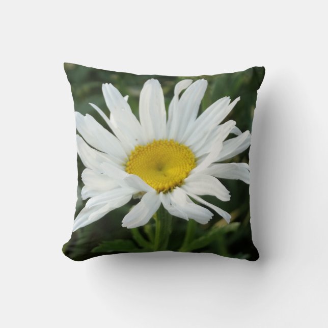 Modern Cute White-daisy Kudde (Framsida)