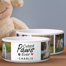 Modern Cutest Tassar All Family Hund Photo Collage