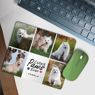 Modern Cutest Tassar någonsin Cute Pet Hund Foto C Musmatta