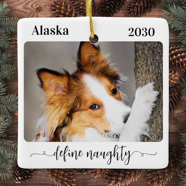 Modern Define Naughty Personlig Funny Pet Photo Julgransprydnad Keramik (Skapare uppladdad)