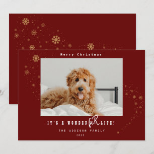 Modern Det är en WonderFUR Life Pet Photo jul H Julkort