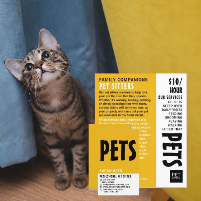 Modern djärv, Pet Sitta Service Advertising Flygblad (Skapare uppladdad)