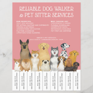 Modern Dog Walker Pet Sitter Rosa Simple Strip Reklamblad
