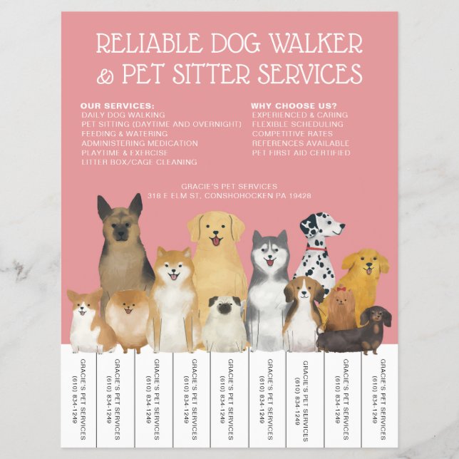 Modern Dog Walker Pet Sitter Rosa Simple Strip Reklamblad (Framsidan)