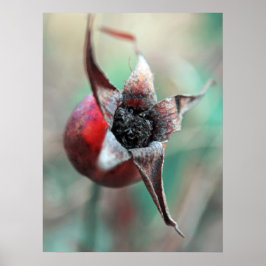 Modern Elegant Abstrakt Ro Hip-makro Poster