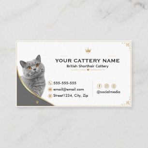 Modern Elegant British Shorthair Kattuppfödning Visitkort
