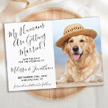 Modern Elegant bröllop Photo Personlig Pet Hund Spara Datumet<br><div class="desc">Låt din bästa Hund meddela bröllop med den här toppen söta "Mina människor är Gifta sig"-hund spara datumkorten. Anpassa med ditt favoritfoto och anpassa med namn, datum och bröllop. COPYRIGHT © 2020 Judy Burrows, Black Hund Art - Med alla Höger reserverade. Modern Photo Personlig Pet Photo Hund Bröllop spara datum...</div>