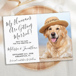 Modern Elegant bröllop Photo Personlig Pet Hund Spara Datumet
