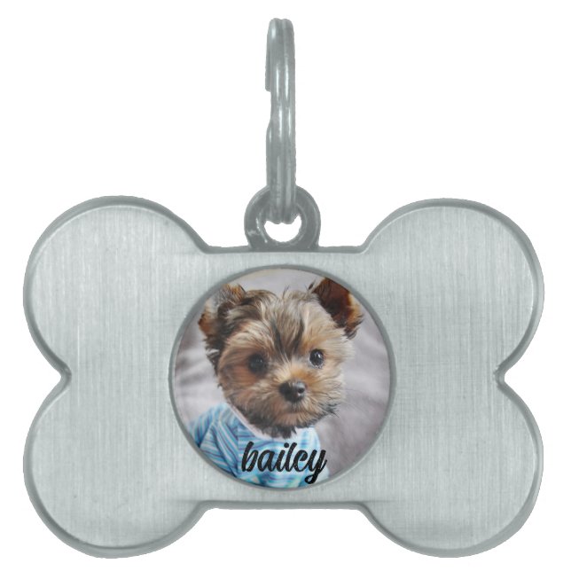 Modern Elegant Chic Pets Simple Namn och Photo ID-bricka Husdjur (Framsidan)