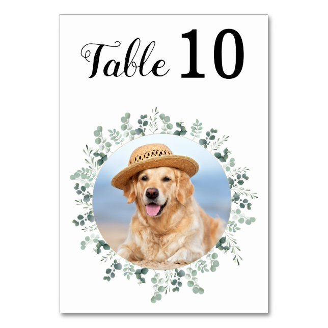 Modern Elegant Eucalyptus Anpassningsbar Photo Brö Bordsnummer (Framsidan)