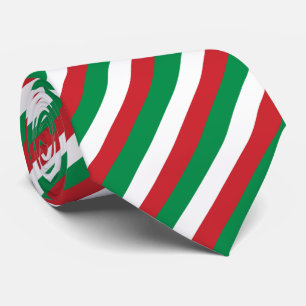 Modern Elegant Grönt Red Italy Flagga Stripe Slips
