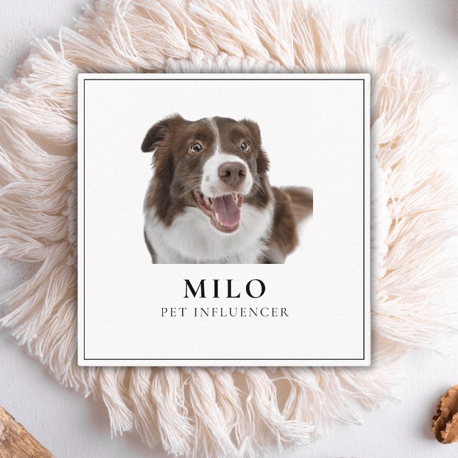 Modern Elegant Photo Hund Pet Social Media QR-kod Fyrkantigt Visitkort (Skapare uppladdad)
