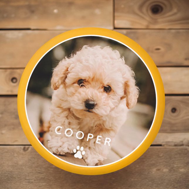 Modern enkel Elegant Chic Pet-foto i Tass Magnet (Skapare uppladdad)