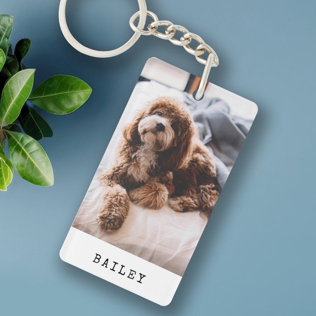Modern enkel Hund Photo (Skapare uppladdad)