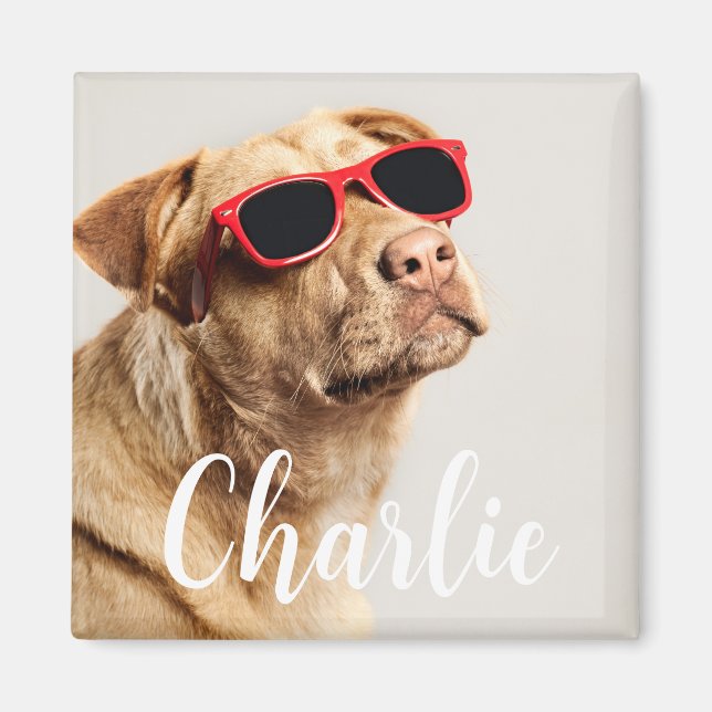 Modern Enkel Lekfull Elegant Chic Husdjursfoto  Magnet (Framsidan)