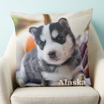 Modern enkel Personlig Pet Hund älskare Photo Kudde<br><div class="desc">Vi presenterar vår anpassningsbar bild-kudde, perfekten för att behålla dina nära och mysiga nära. Den här mjuka kudden och snyggten har en modern och minimalistisk utformning, och skapar den som ett underbart tillägg till vilken hemskugga som helst. Du kan anpassa det med valfri bild, oavsett om det är ett omhuldat...</div>