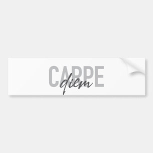 Modern, enkel, urban, coola design Carpe Diem Bildekal