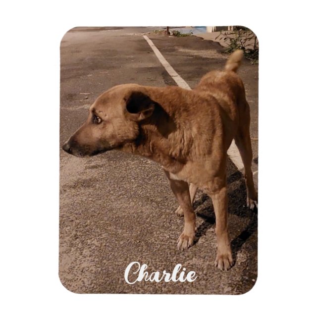 Modern enkelt sällskapsfoto magnet (Vertikal)