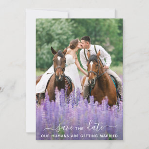 Modern Equine Personlig Pet Photo Horse Bröllop Spara Datumet