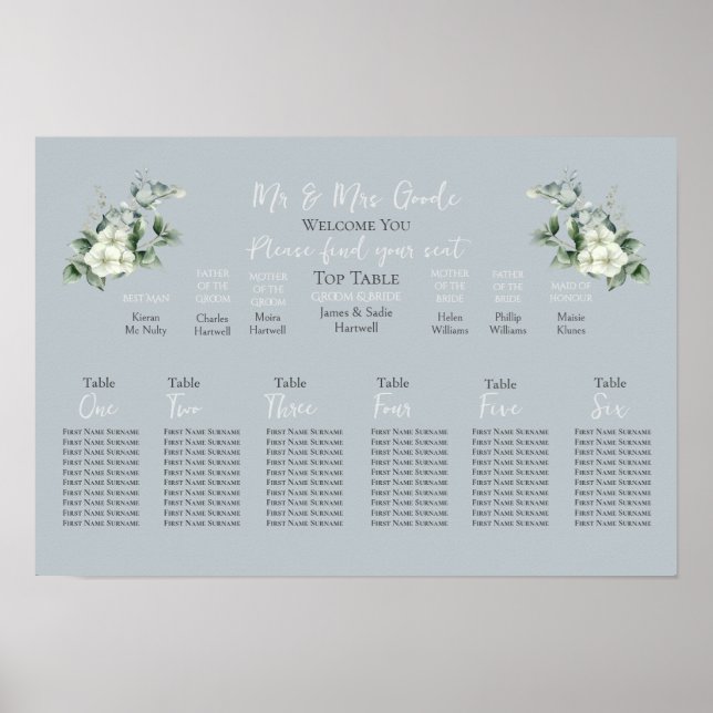 Modern Eucalyptus-sätesdiagram 6 Bord Poster (Framsidan)