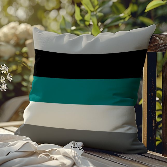 Modern Färg Block Rand Teal Grått Black White Kudde (Skapare uppladdad)