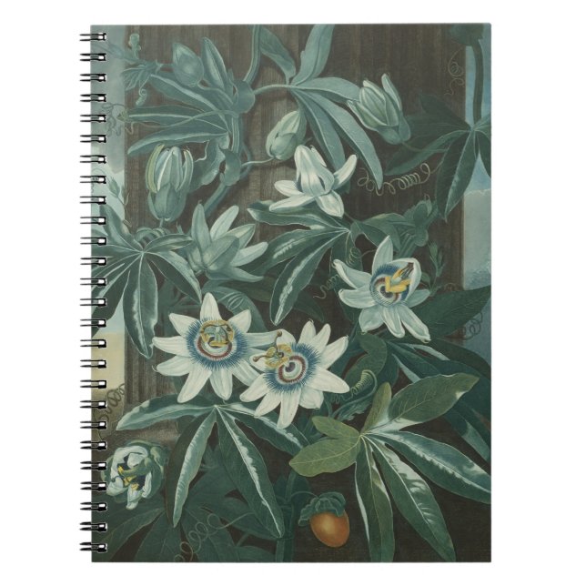 Modern färgreducering anteckningsbok (Framsidan)