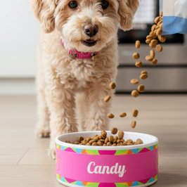 Modern färgstark retro Geometric Ceramic Pet Bowl