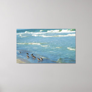 Modern Florida Shorebird Ocean Photo Canvastryck